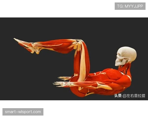 连续动作判定是什么意思?如何正确理解和应用这一规则? 连续动作判定是什么意思?如何正确理解和应用这一规则?